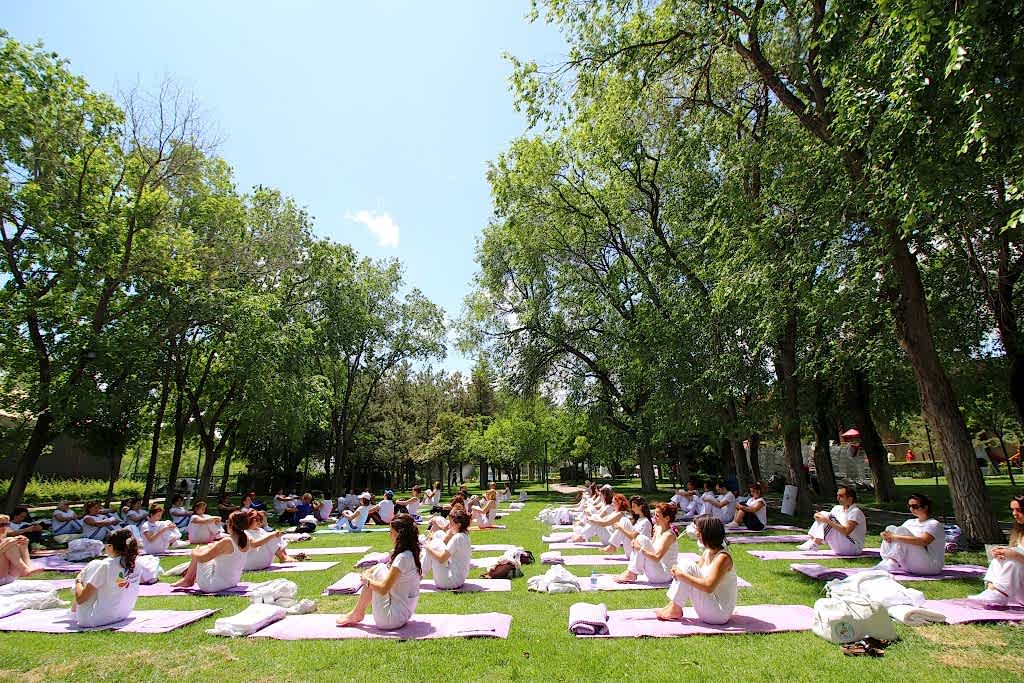 Çakra Enerji Merkezi Çalışmaları