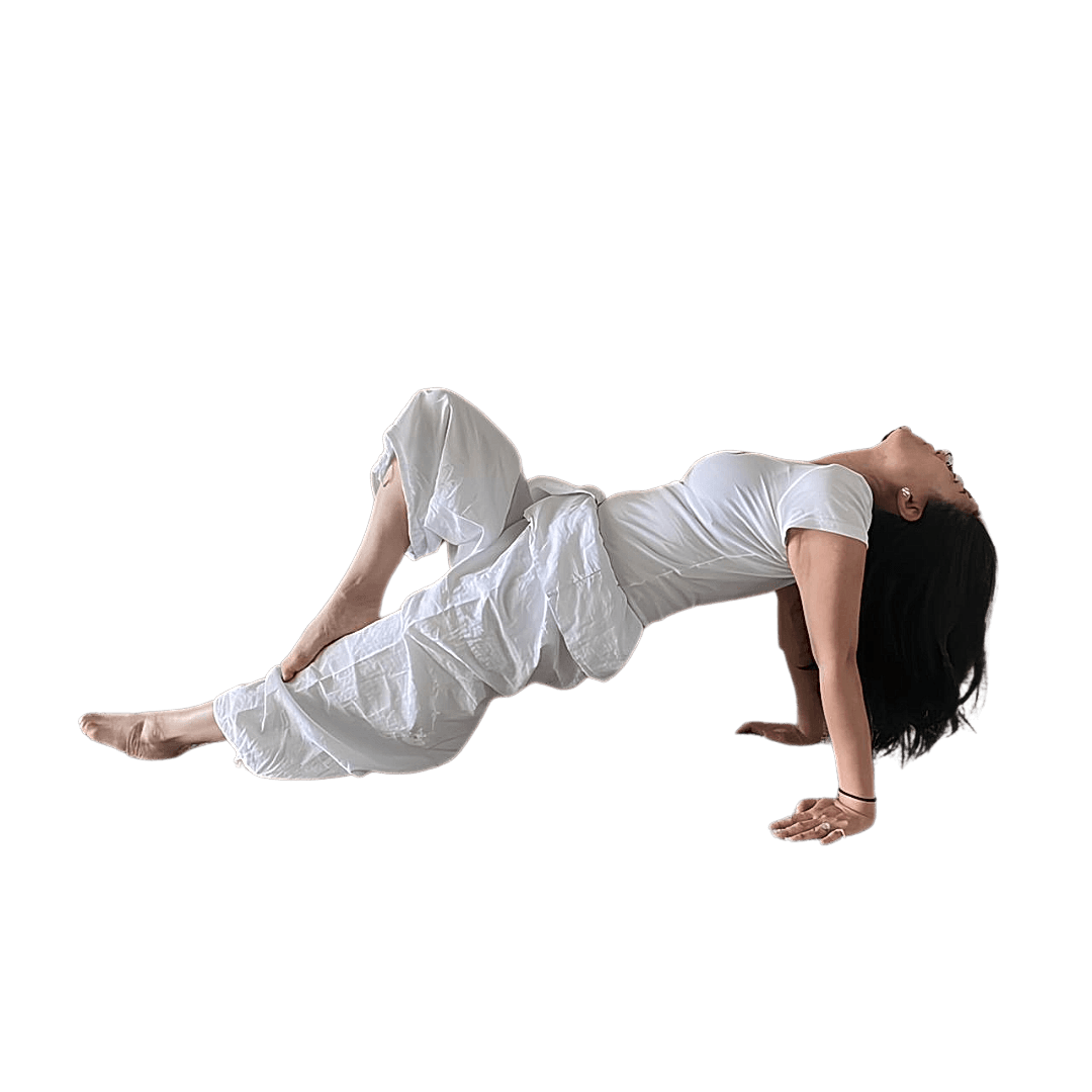 MERIT SOLARAH AUREONG