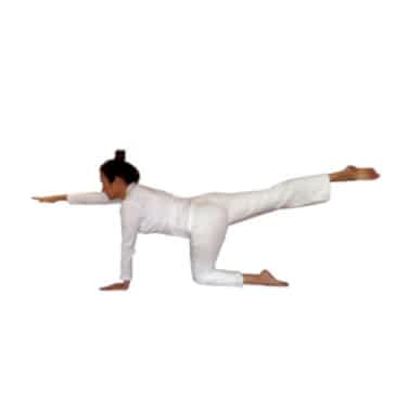 NUTANA NEŞE MALKOÇ